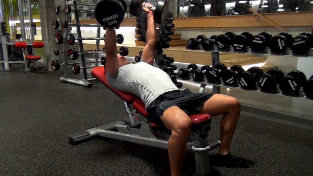 Bench Press Gym Exercise