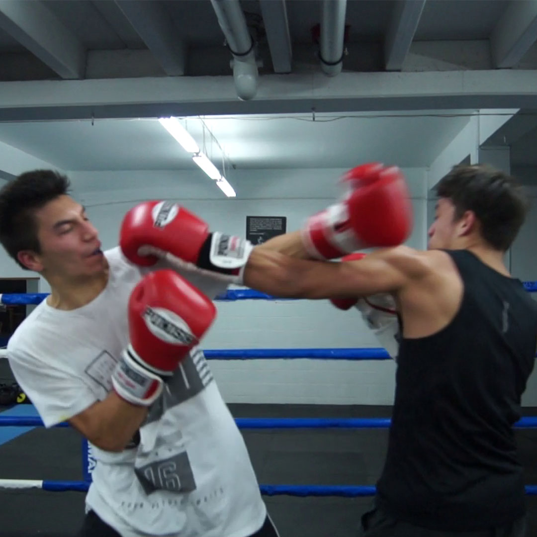 Boxing 101 New Zealand 16 Week Beginners Training Program