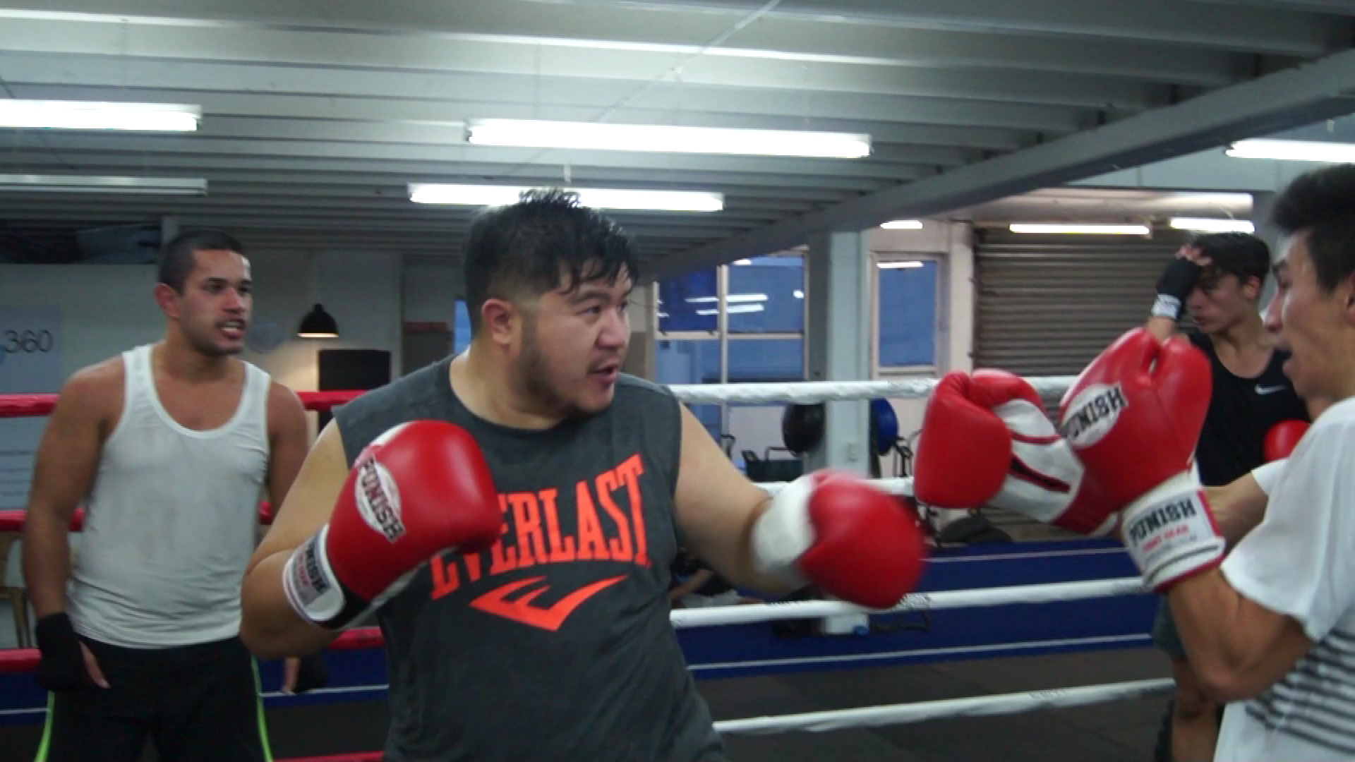 NEWS Boxing101.nz Fight Night and Program Updates! Boxing 101 New